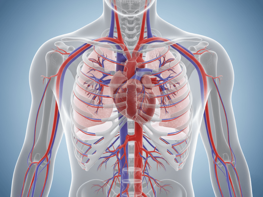 Del quirófano al consultorio: estrategias de anticoagulación en cirugía valvular