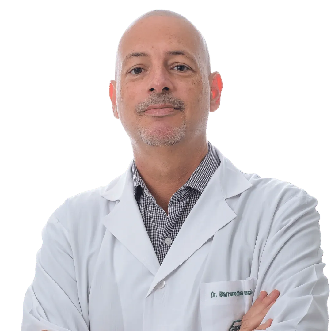 Barrenechea, Ignacio