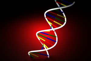 ¿Qué es un estudio de ADN?