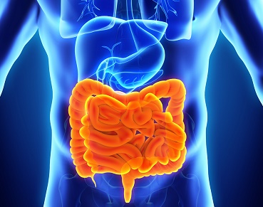 A qué llamamos Enfermedad Inflamatoria Intestinal (EII)? | Grupo Gamma |  Grupo Gamma