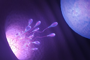 Varicocele: ¿Qué es y cómo se trata hoy?