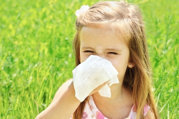 Sinusitis: Causas inflamatorias, estructurales, inmunológicas e infecciosas