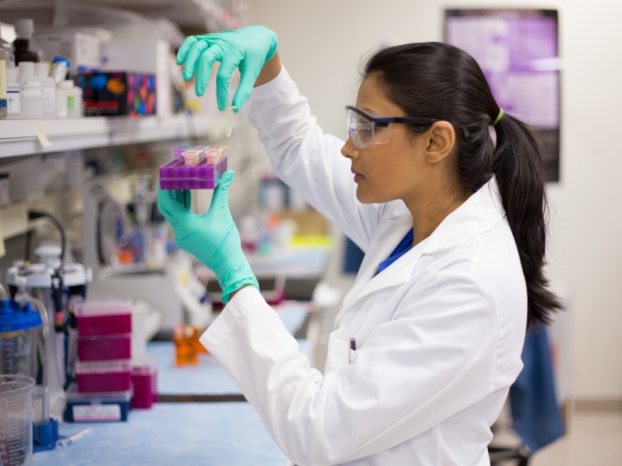 Gammalab: Confidencialidad en los resultados