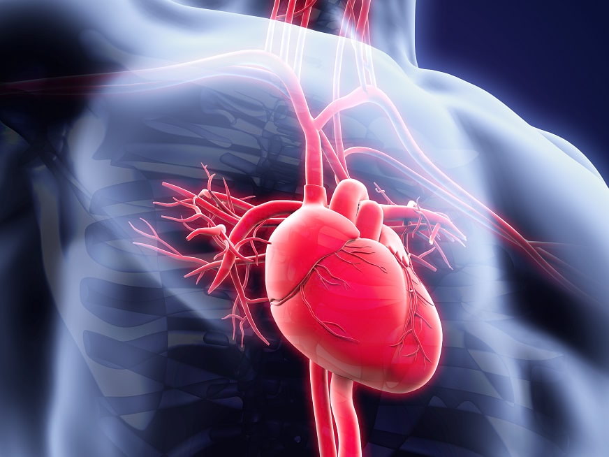 CardioGamma I: Enfermedad Coronaria Crónica