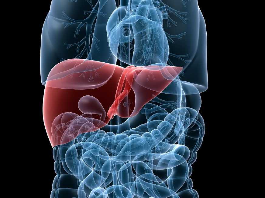 Cirugía Hepatobiliar y Pancreática