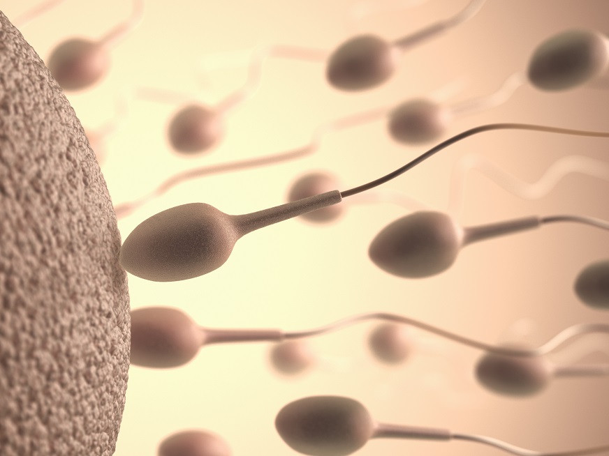 Espermograma: La automatización en la andrología clínica