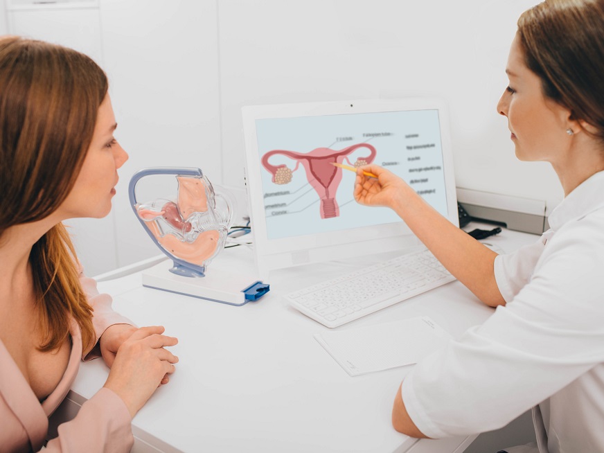 Receptividad Endometrial: ¿Qué es el Endometrio?