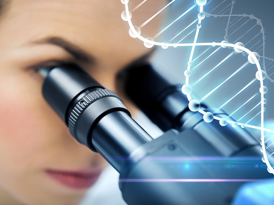 Fragmentación de ADN, Columnas de Anexinas