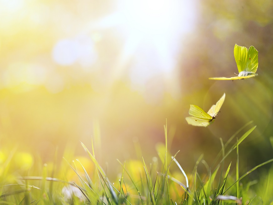 Día Mundial de los Cuidados Paliativos