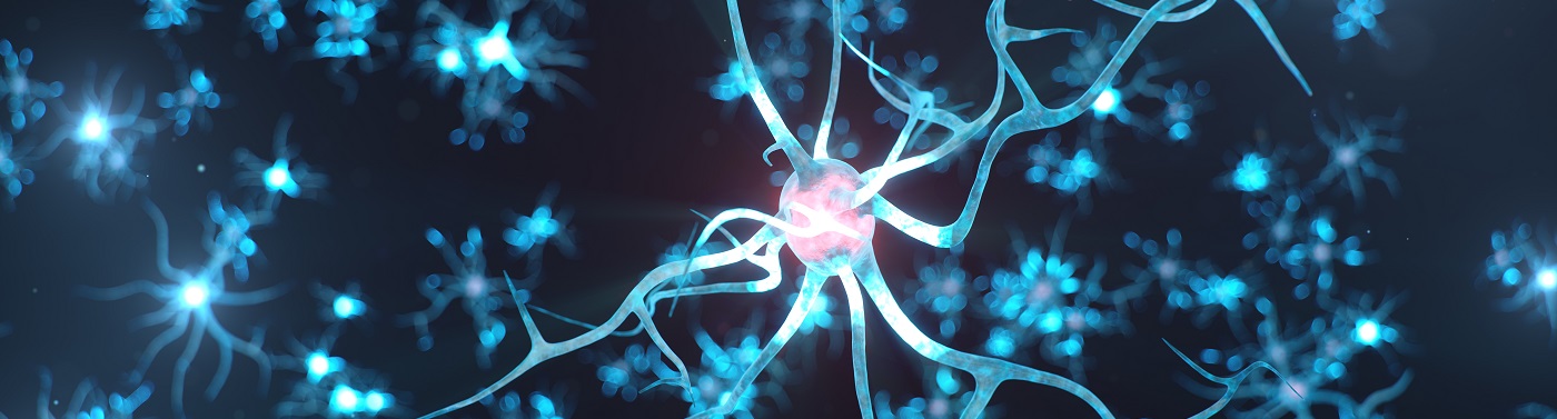 Unidad de Enfermedades Desmielinizantes