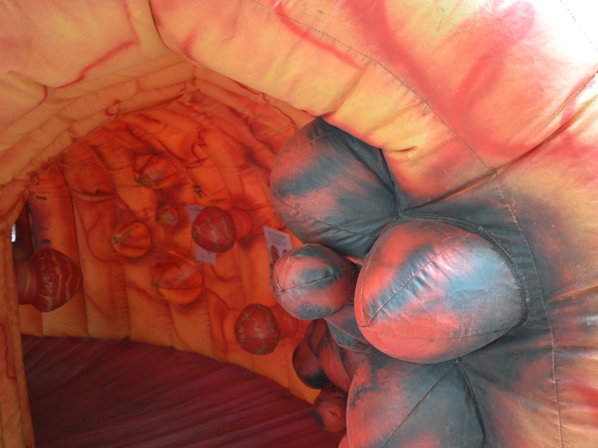 Campaña de Prevención del Cáncer Colorrectal