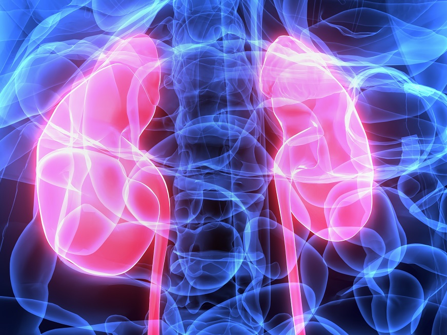 Utilidad Clínica del Eco Doppler Vascular