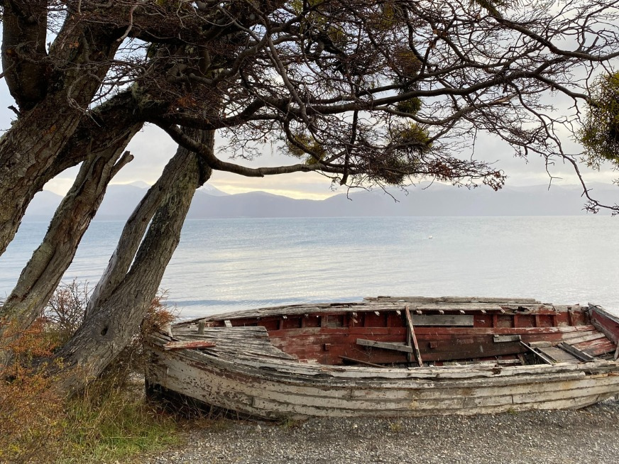 Día Mundial de los Cuidados Paliativos