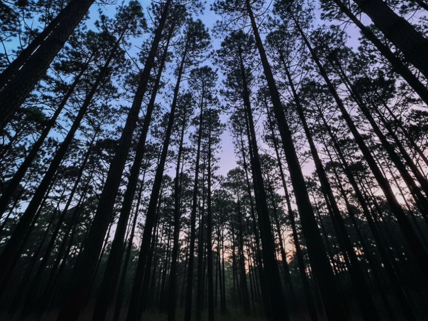 Cuidar desde las palabras